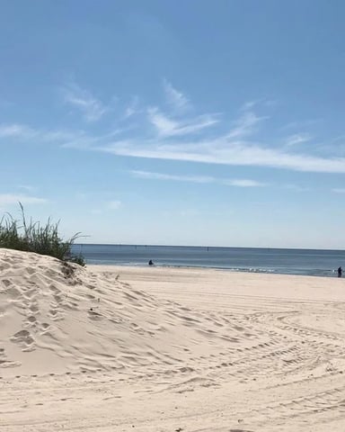 Sandy beach with dune grass, calm ocean, and swimmers in the distance under blue sky